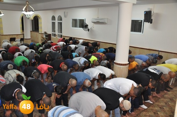 tarawee7 salah 3ajamifeh (3).JPG